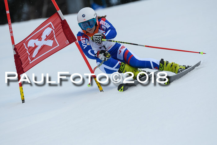 Int. FIS Rennen Damen, RS, Maria Alm 09.01.2018