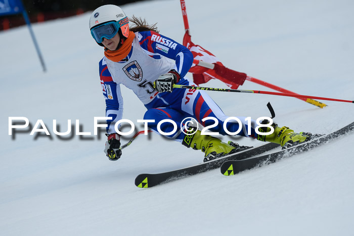 Int. FIS Rennen Damen, RS, Maria Alm 09.01.2018