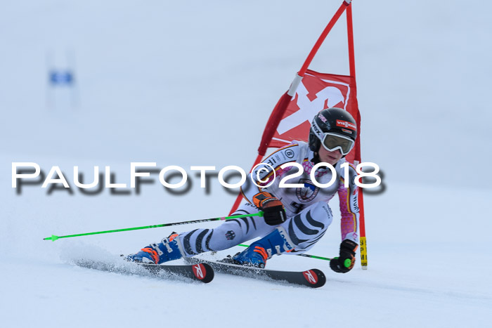 Int. FIS Rennen Damen, RS, Maria Alm 09.01.2018