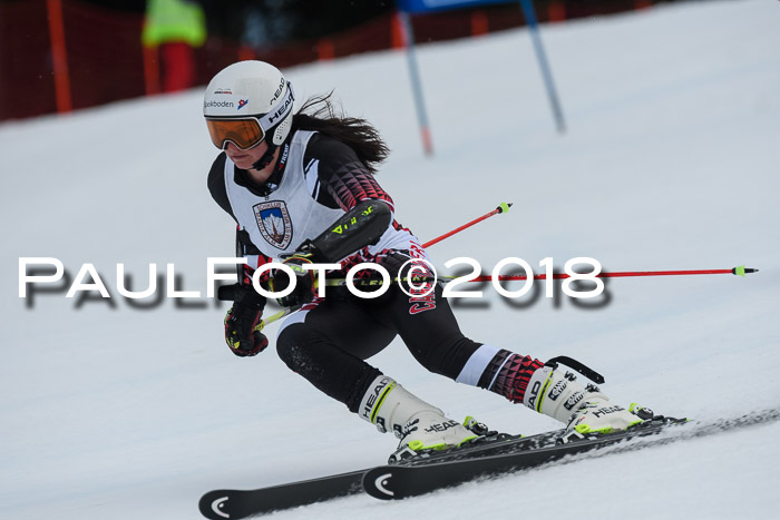 Int. FIS Rennen Damen, RS, Maria Alm 09.01.2018