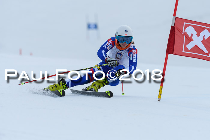 Int. FIS Rennen Damen, RS, Maria Alm 09.01.2018