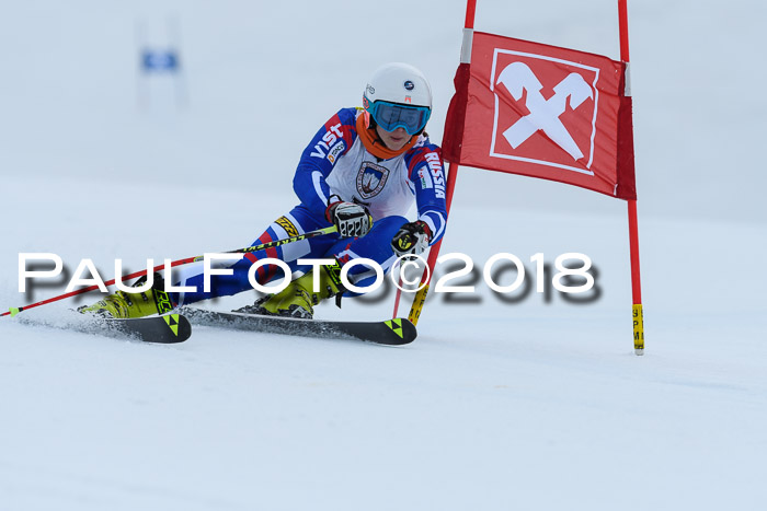 Int. FIS Rennen Damen, RS, Maria Alm 09.01.2018