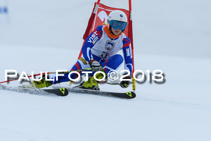 Int. FIS Rennen Damen, RS, Maria Alm 09.01.2018