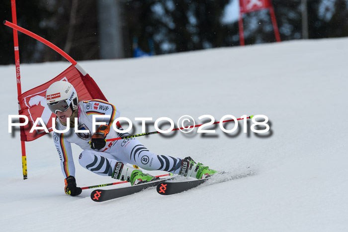 Int. FIS Rennen Damen, RS, Maria Alm 09.01.2018