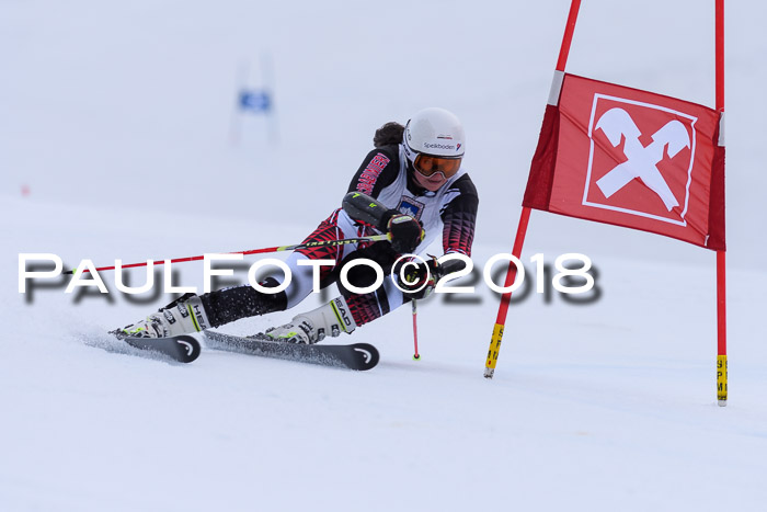 Int. FIS Rennen Damen, RS, Maria Alm 09.01.2018