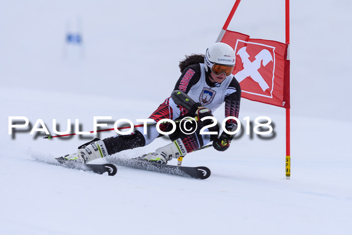 Int. FIS Rennen Damen, RS, Maria Alm 09.01.2018