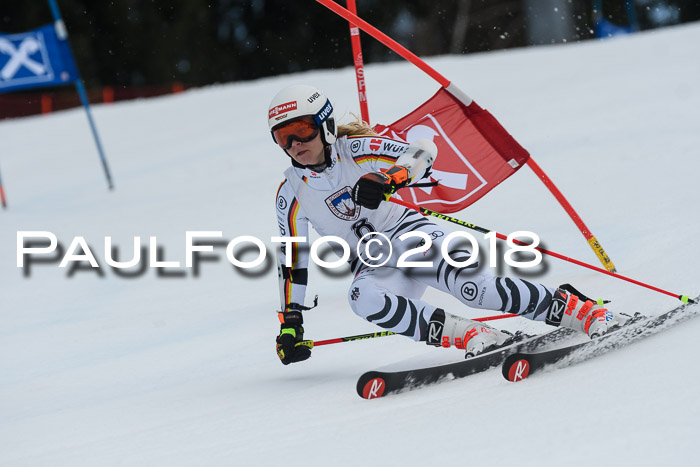 Int. FIS Rennen Damen, RS, Maria Alm 09.01.2018