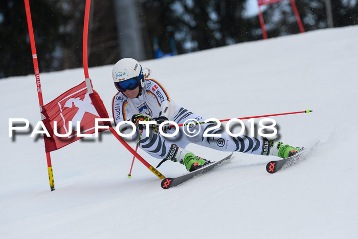 Int. FIS Rennen Damen, RS, Maria Alm 09.01.2018