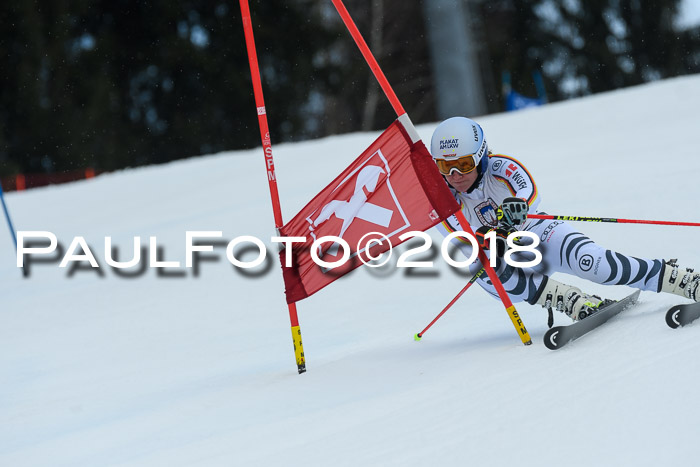 Int. FIS Rennen Damen, RS, Maria Alm 09.01.2018