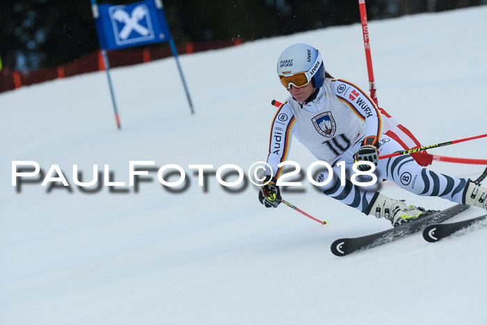 Int. FIS Rennen Damen, RS, Maria Alm 09.01.2018