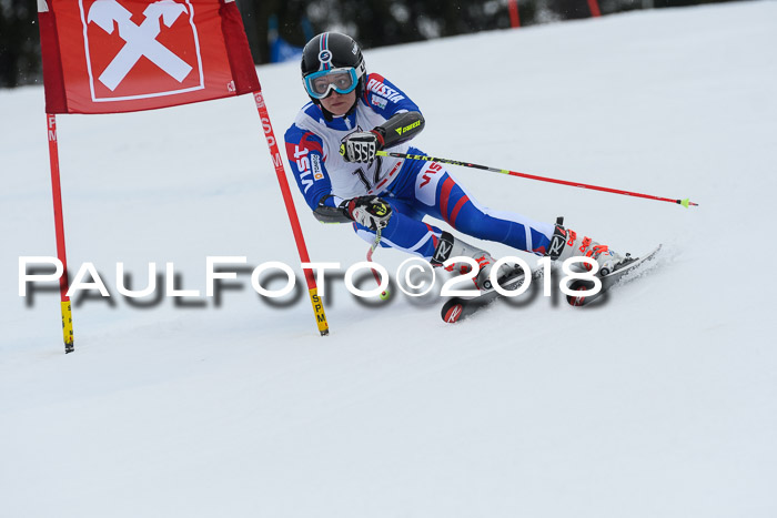 Int. FIS Rennen Damen, RS, Maria Alm 09.01.2018