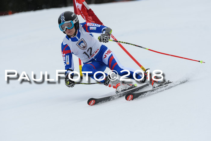 Int. FIS Rennen Damen, RS, Maria Alm 09.01.2018