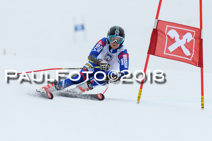 Int. FIS Rennen Damen, RS, Maria Alm 09.01.2018