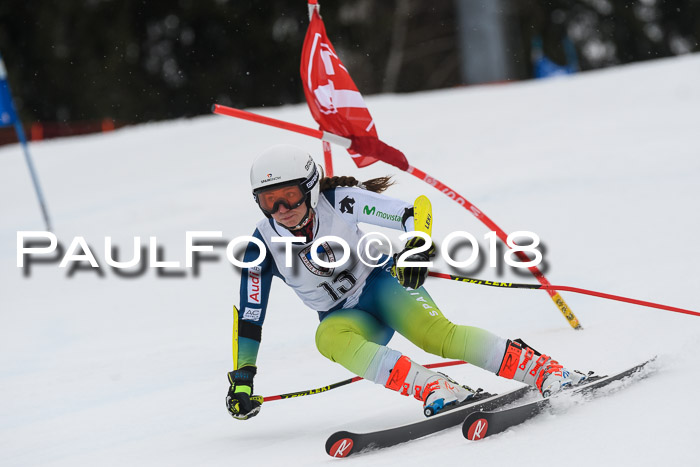 Int. FIS Rennen Damen, RS, Maria Alm 09.01.2018