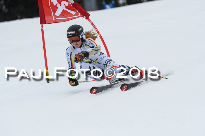 Int. FIS Rennen Damen, RS, Maria Alm 09.01.2018