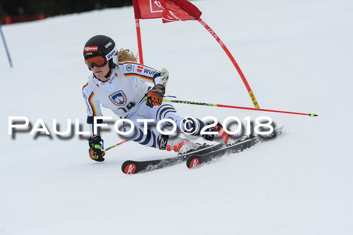 Int. FIS Rennen Damen, RS, Maria Alm 09.01.2018