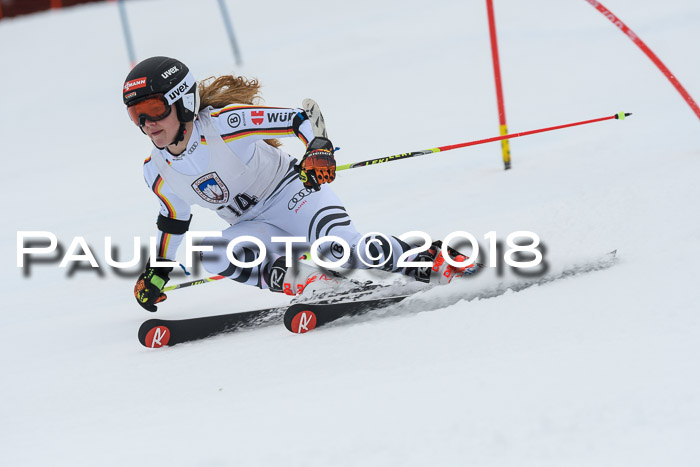 Int. FIS Rennen Damen, RS, Maria Alm 09.01.2018