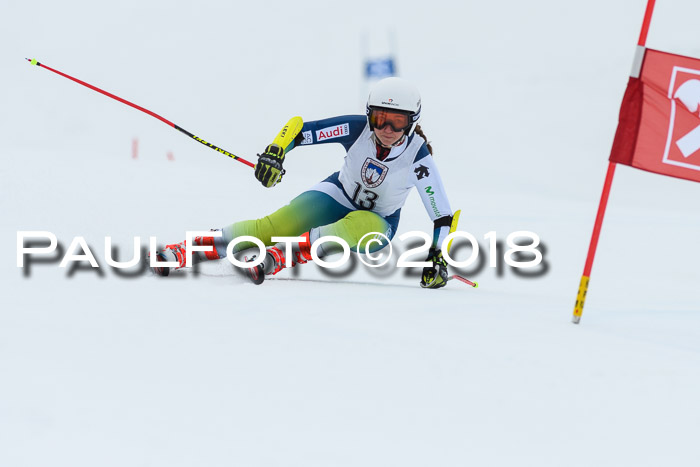 Int. FIS Rennen Damen, RS, Maria Alm 09.01.2018