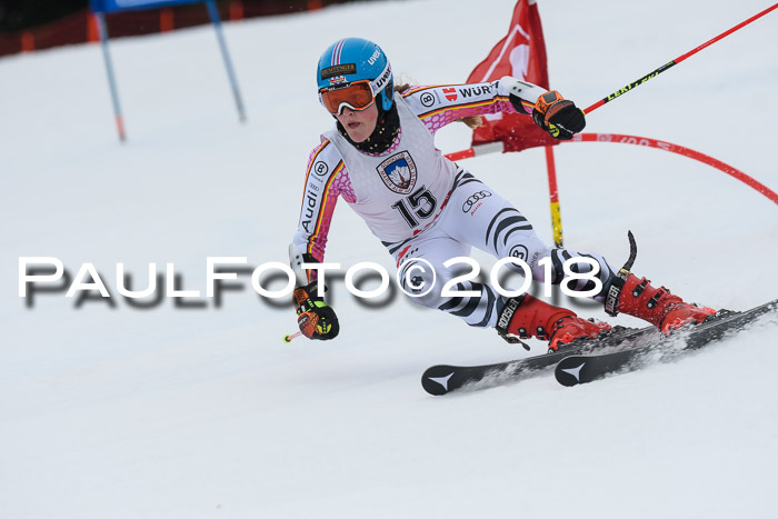 Int. FIS Rennen Damen, RS, Maria Alm 09.01.2018