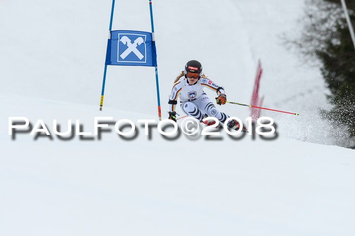 Int. FIS Rennen Damen, RS, Maria Alm 09.01.2018