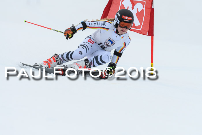 Int. FIS Rennen Damen, RS, Maria Alm 09.01.2018