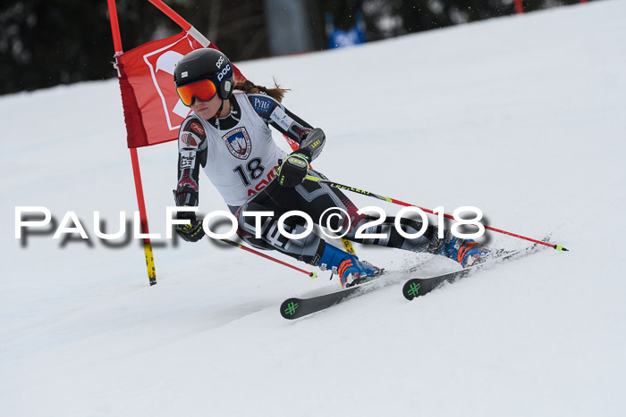 Int. FIS Rennen Damen, RS, Maria Alm 09.01.2018