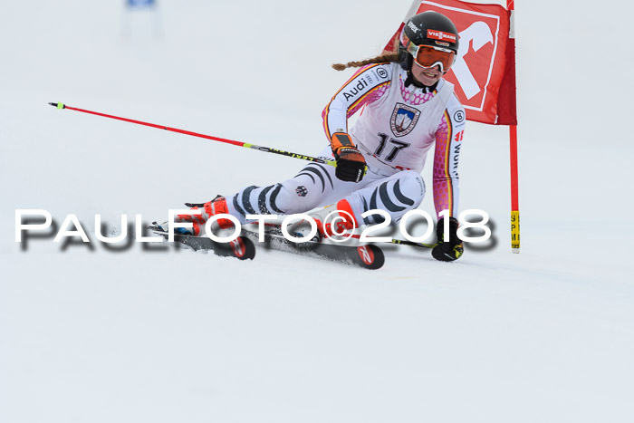 Int. FIS Rennen Damen, RS, Maria Alm 09.01.2018
