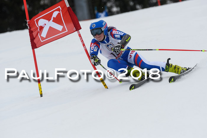Int. FIS Rennen Damen, RS, Maria Alm 09.01.2018