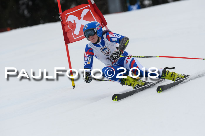 Int. FIS Rennen Damen, RS, Maria Alm 09.01.2018