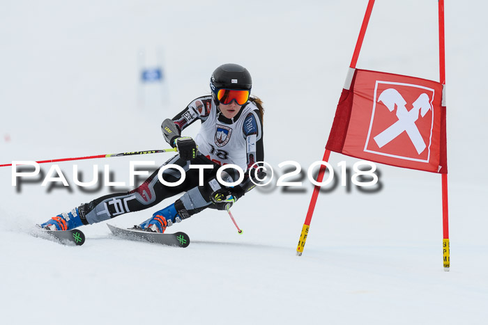 Int. FIS Rennen Damen, RS, Maria Alm 09.01.2018