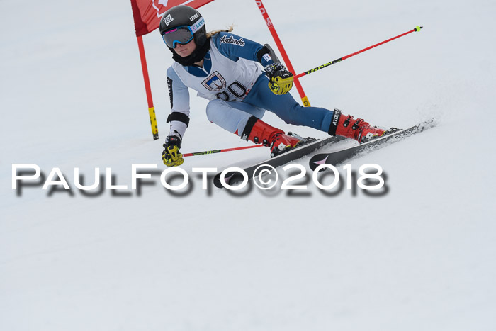 Int. FIS Rennen Damen, RS, Maria Alm 09.01.2018