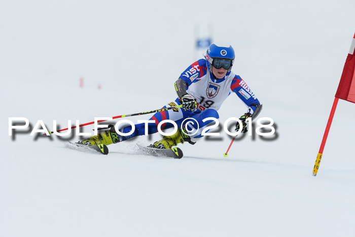 Int. FIS Rennen Damen, RS, Maria Alm 09.01.2018