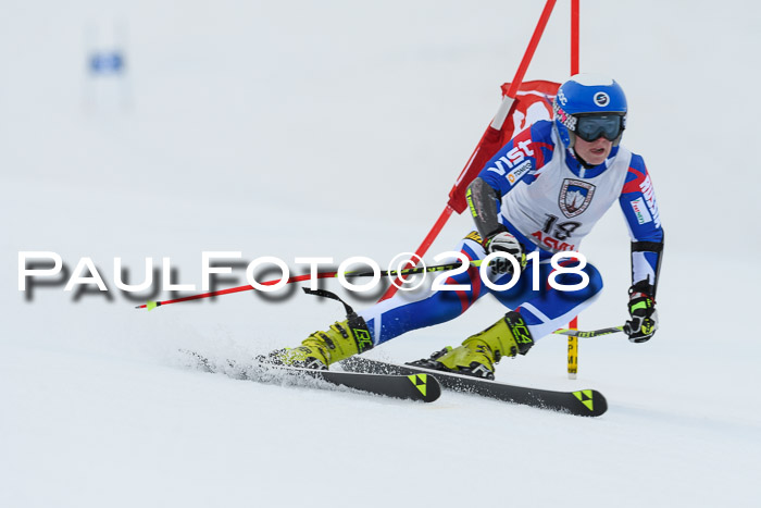 Int. FIS Rennen Damen, RS, Maria Alm 09.01.2018