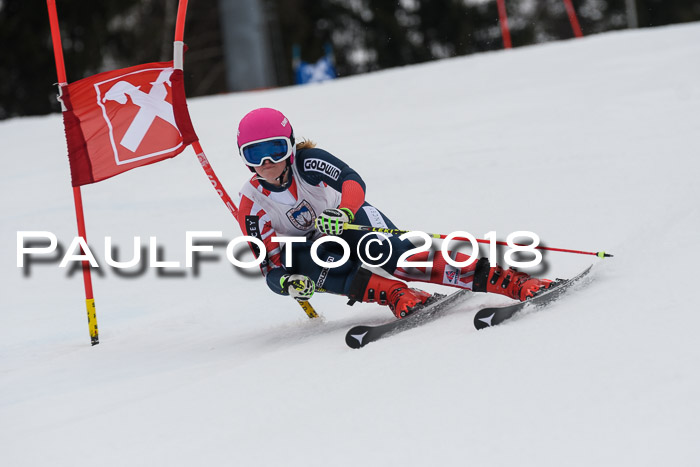 Int. FIS Rennen Damen, RS, Maria Alm 09.01.2018