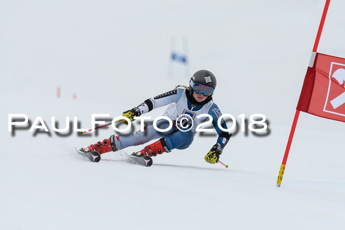 Int. FIS Rennen Damen, RS, Maria Alm 09.01.2018