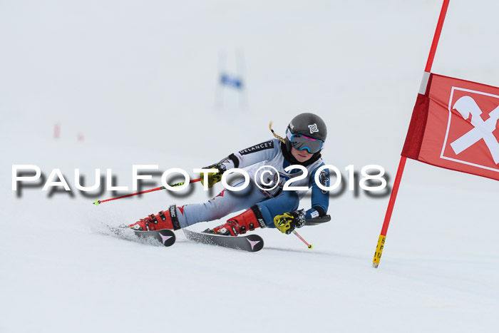 Int. FIS Rennen Damen, RS, Maria Alm 09.01.2018