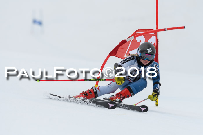 Int. FIS Rennen Damen, RS, Maria Alm 09.01.2018
