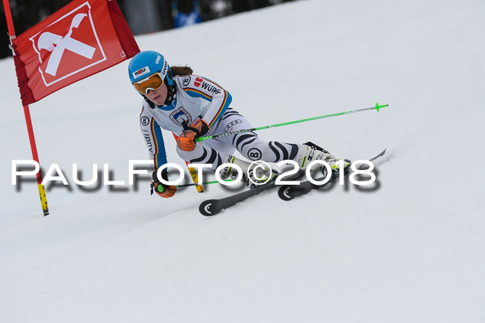Int. FIS Rennen Damen, RS, Maria Alm 09.01.2018