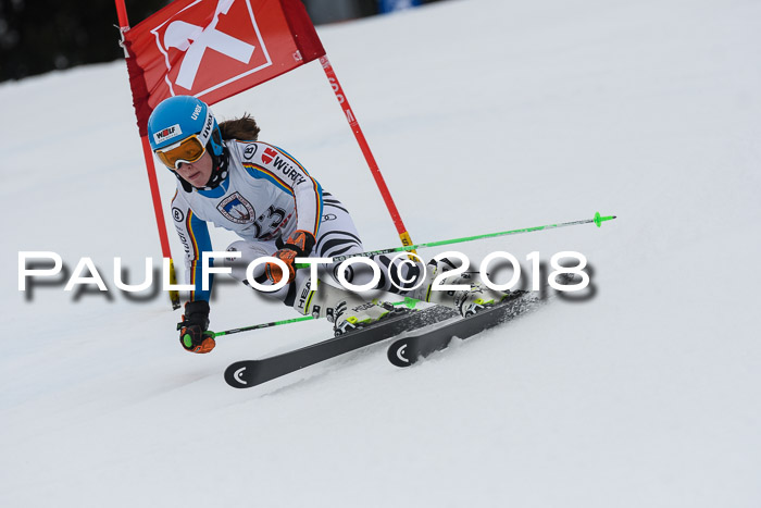 Int. FIS Rennen Damen, RS, Maria Alm 09.01.2018