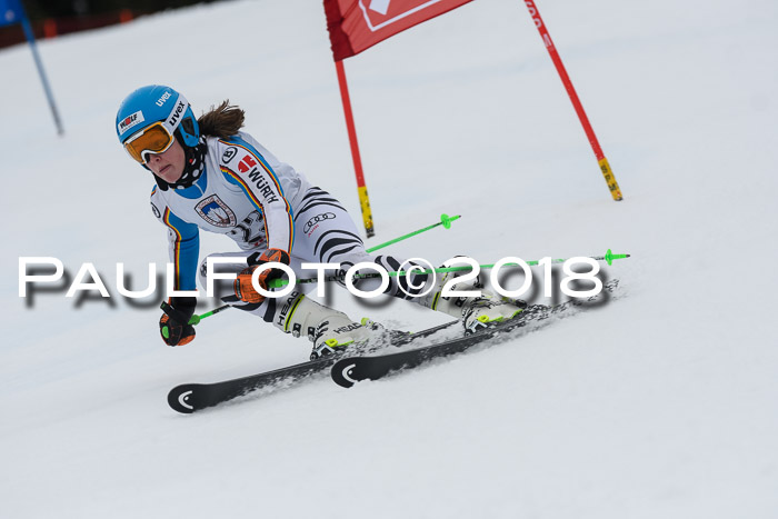 Int. FIS Rennen Damen, RS, Maria Alm 09.01.2018