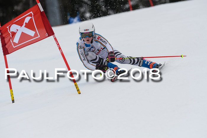 Int. FIS Rennen Damen, RS, Maria Alm 09.01.2018