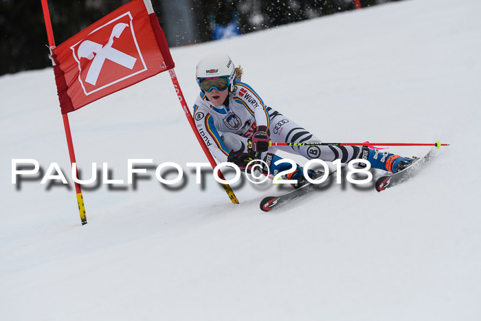 Int. FIS Rennen Damen, RS, Maria Alm 09.01.2018