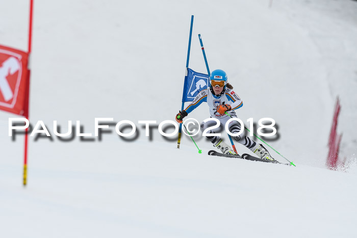 Int. FIS Rennen Damen, RS, Maria Alm 09.01.2018