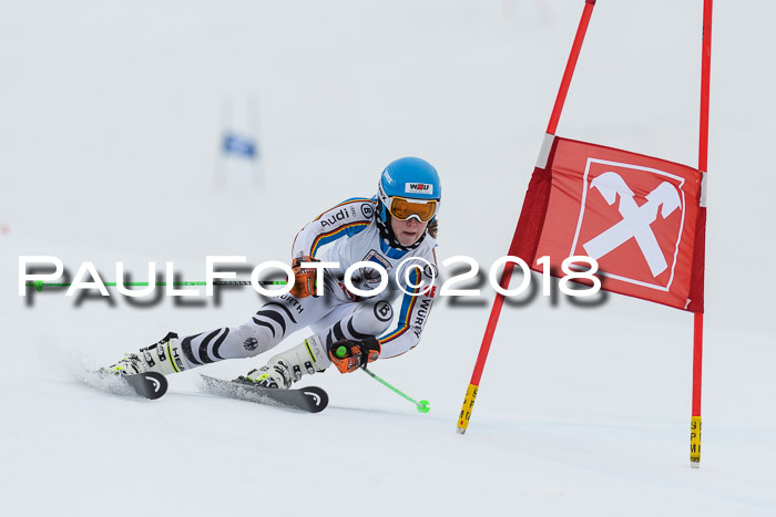 Int. FIS Rennen Damen, RS, Maria Alm 09.01.2018