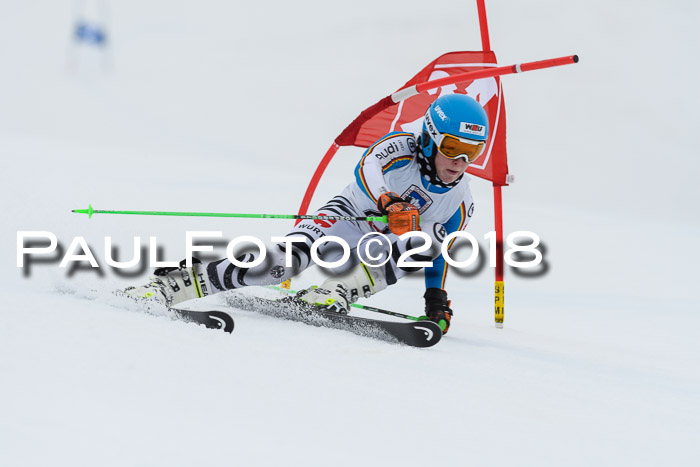 Int. FIS Rennen Damen, RS, Maria Alm 09.01.2018