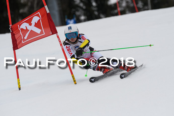 Int. FIS Rennen Damen, RS, Maria Alm 09.01.2018