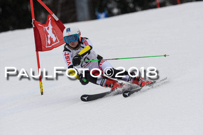 Int. FIS Rennen Damen, RS, Maria Alm 09.01.2018
