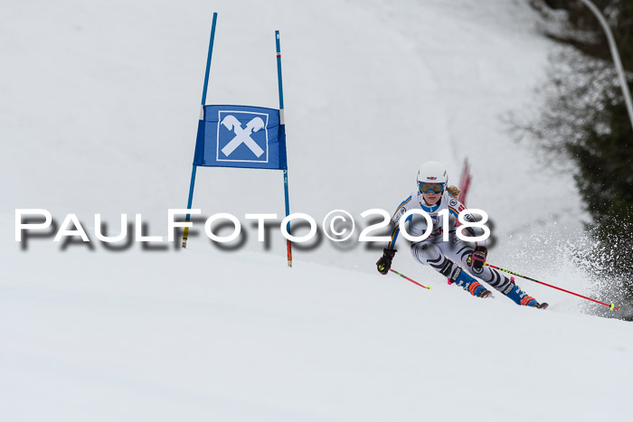 Int. FIS Rennen Damen, RS, Maria Alm 09.01.2018