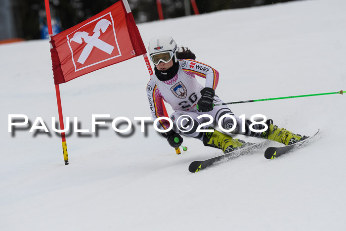 Int. FIS Rennen Damen, RS, Maria Alm 09.01.2018