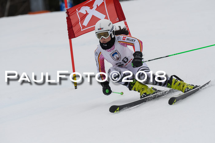 Int. FIS Rennen Damen, RS, Maria Alm 09.01.2018